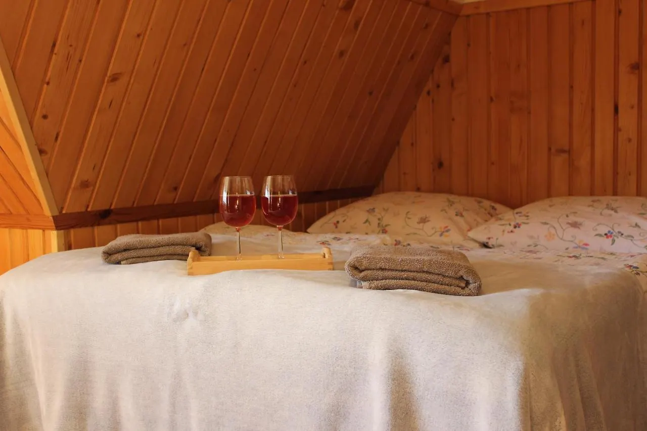 Willa Pod Zielonym Wierchem Zakopane Kwatera prywatna
